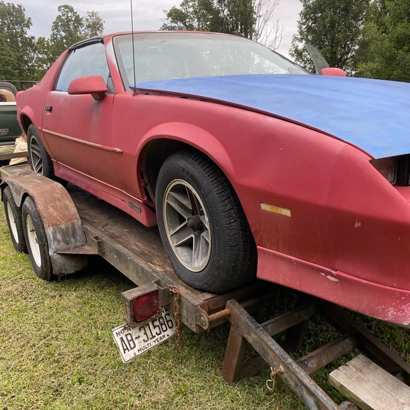 Meet your Posher, Trish - Picture 2 of 11